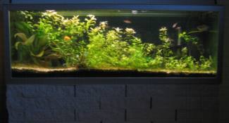 200-liters akvarium